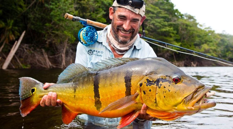 Quais as melhores iscas artificiais para pegar Tucunarés?